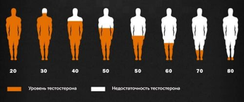 testosteron2