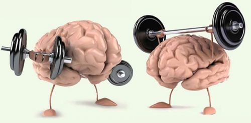 how_to_support_the_brain