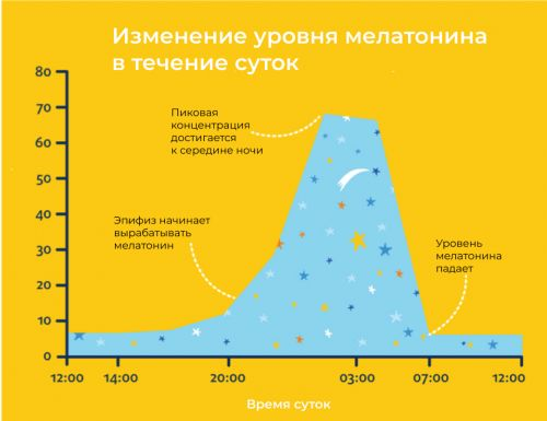 синтез мелатонина