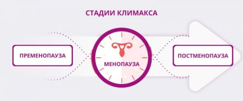 menopausa1