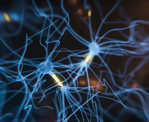 neurjn (1)