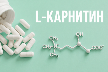 L-карнитин: от спортпитания к митохондриальной медицине
