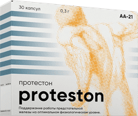 Протестон
