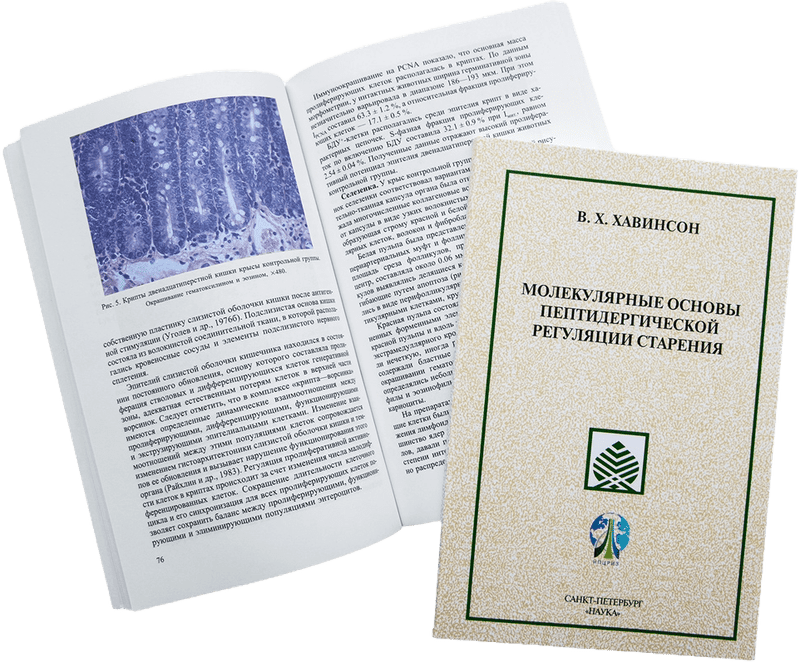 Молекулярные основы